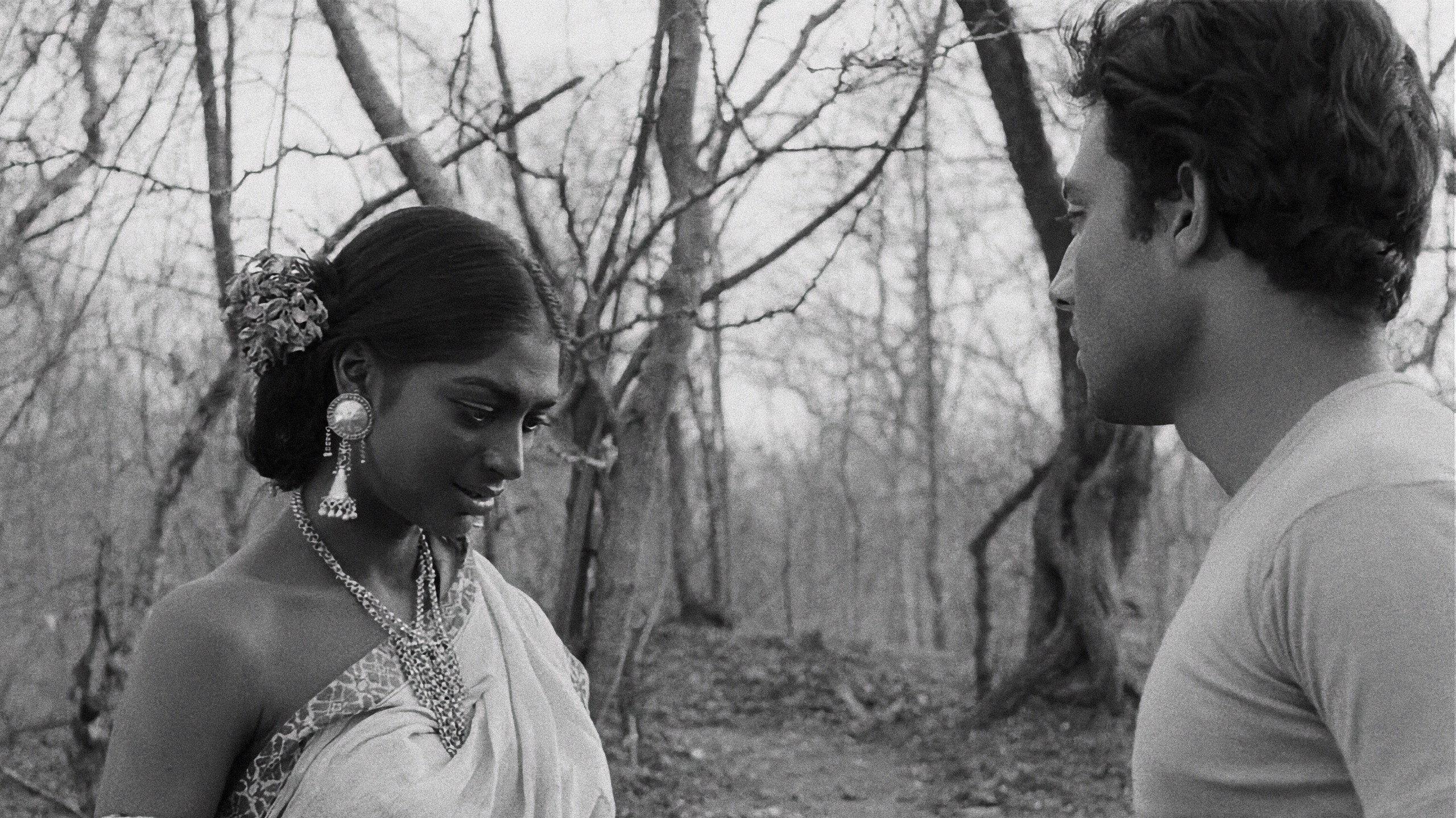 অরণ্যের দিনরাত্রি