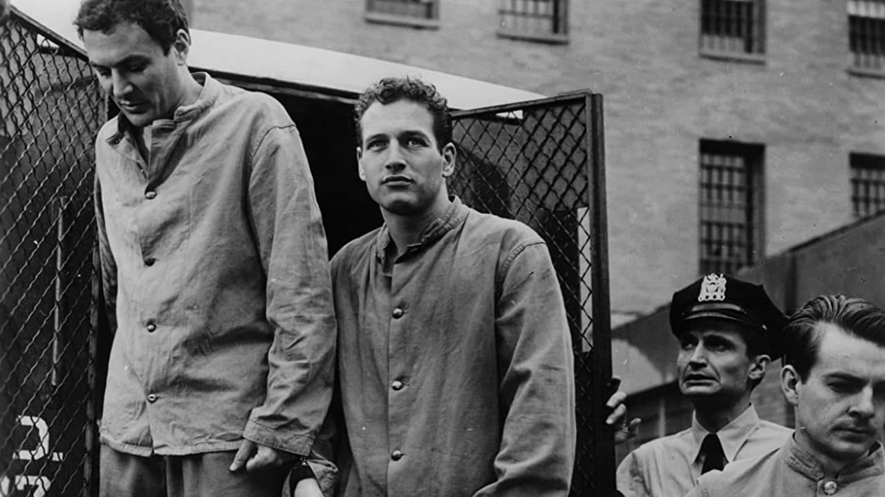 Między Linami Ringu