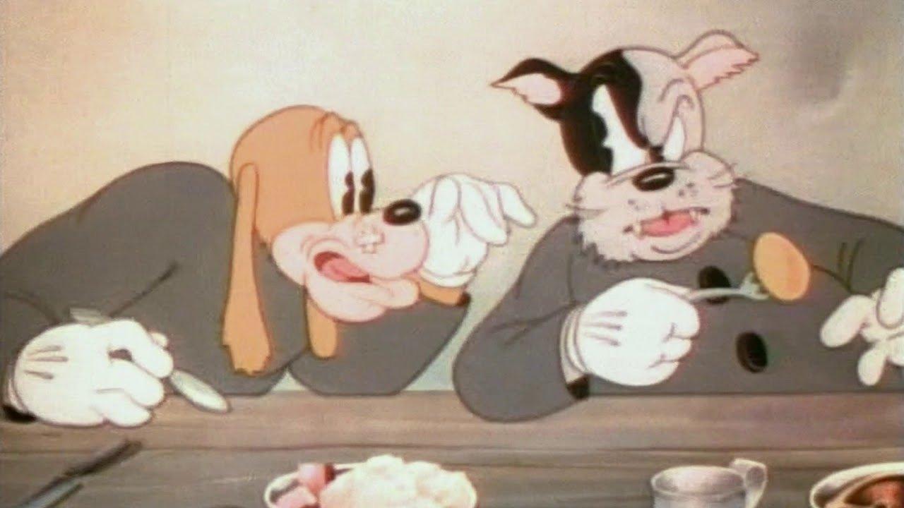 Skazani na kratki i pasiaki