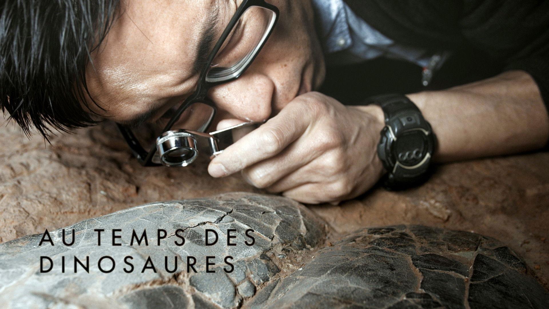 Au temps des dinosaures