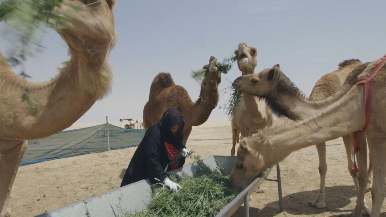 سماء قريبة