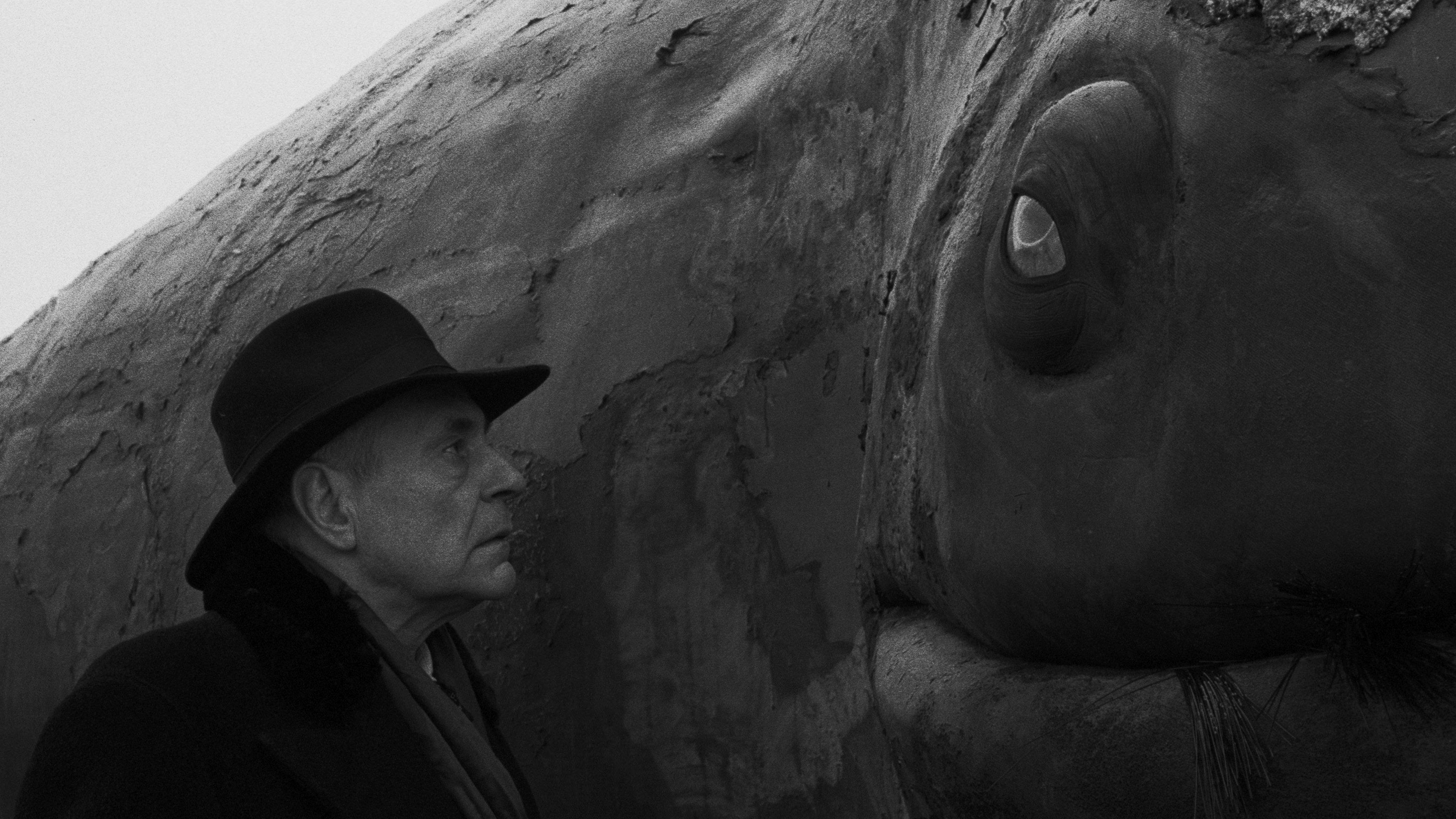 Harmonie Werckmeistera