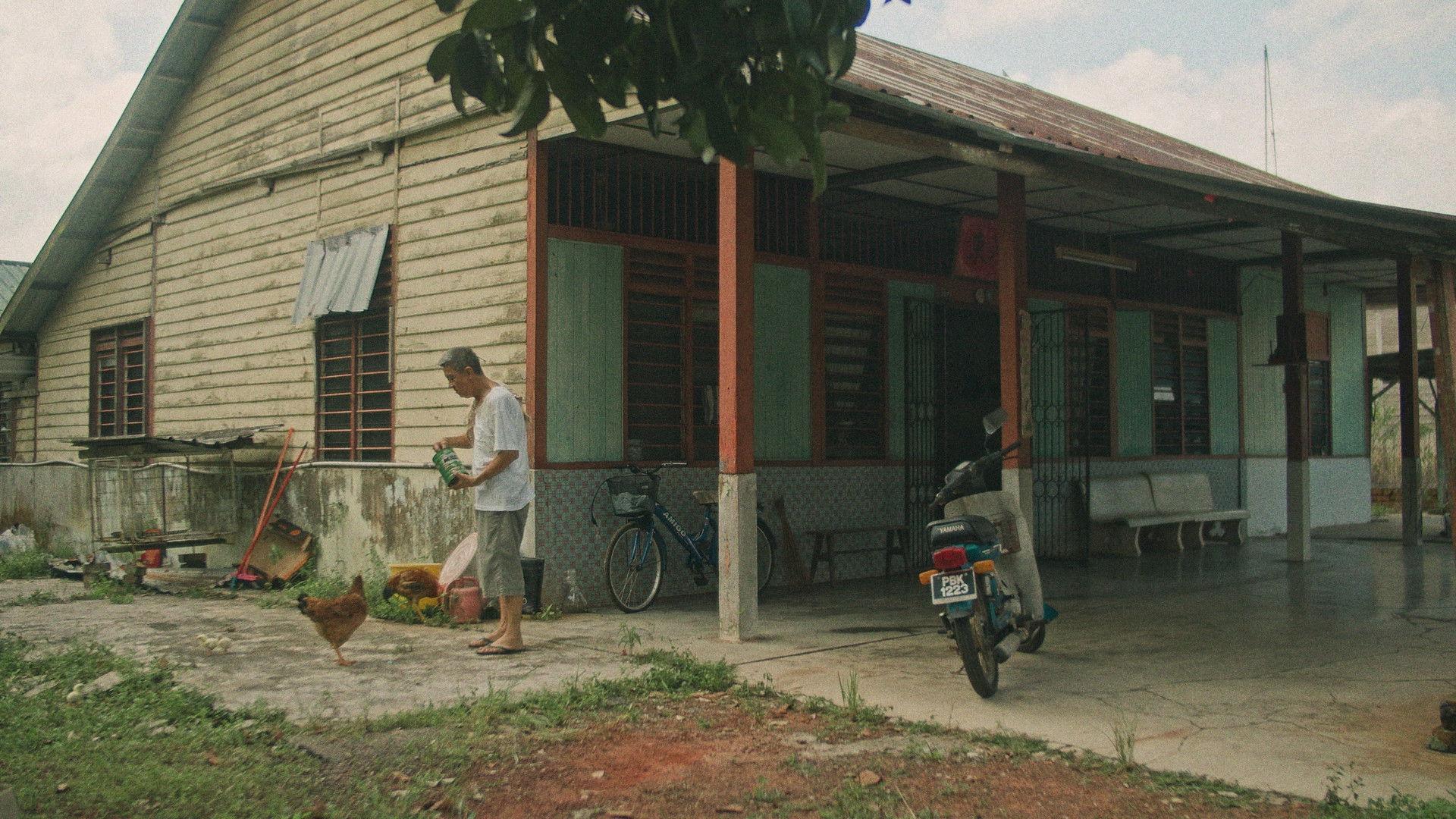 阿公手里的莽吉柿
