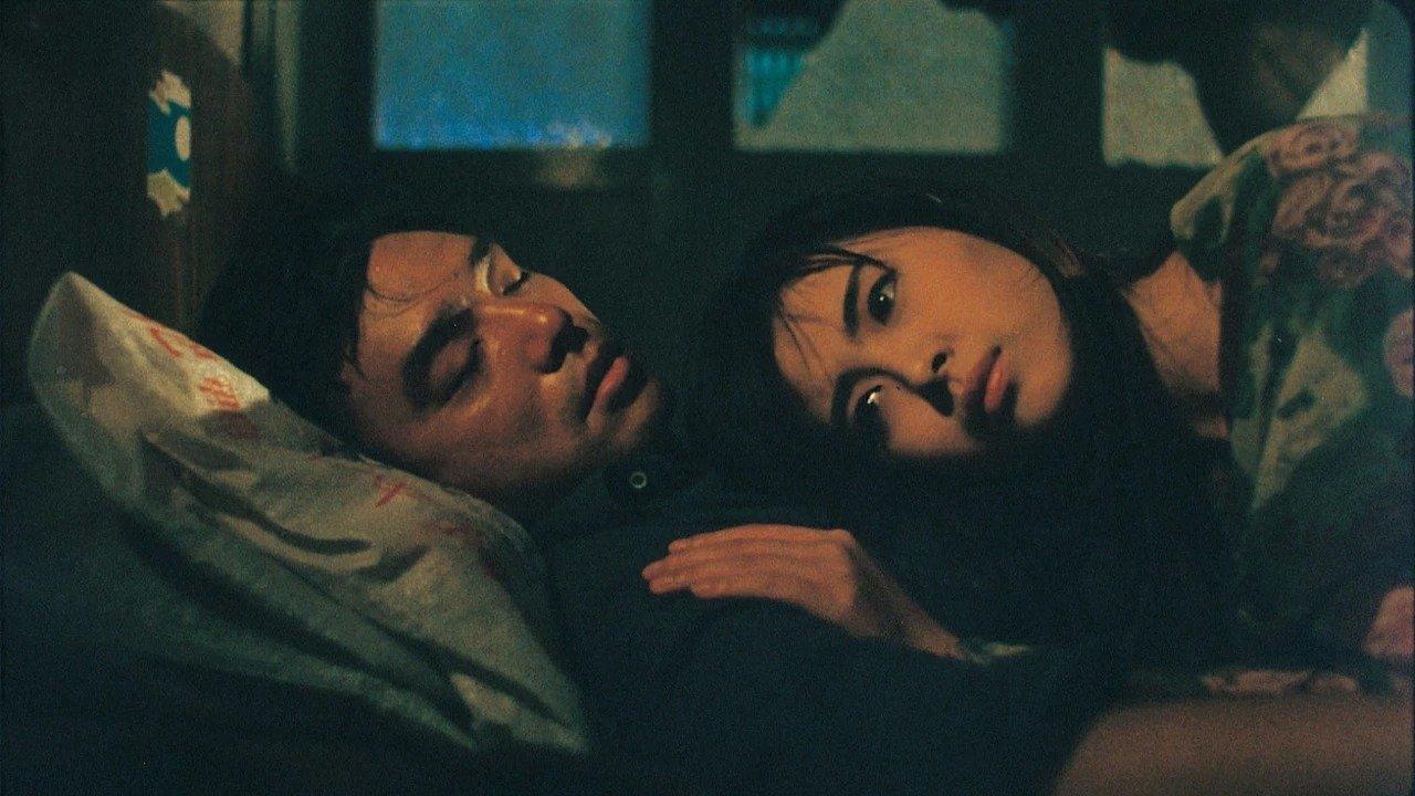 殺手蝴蝶夢