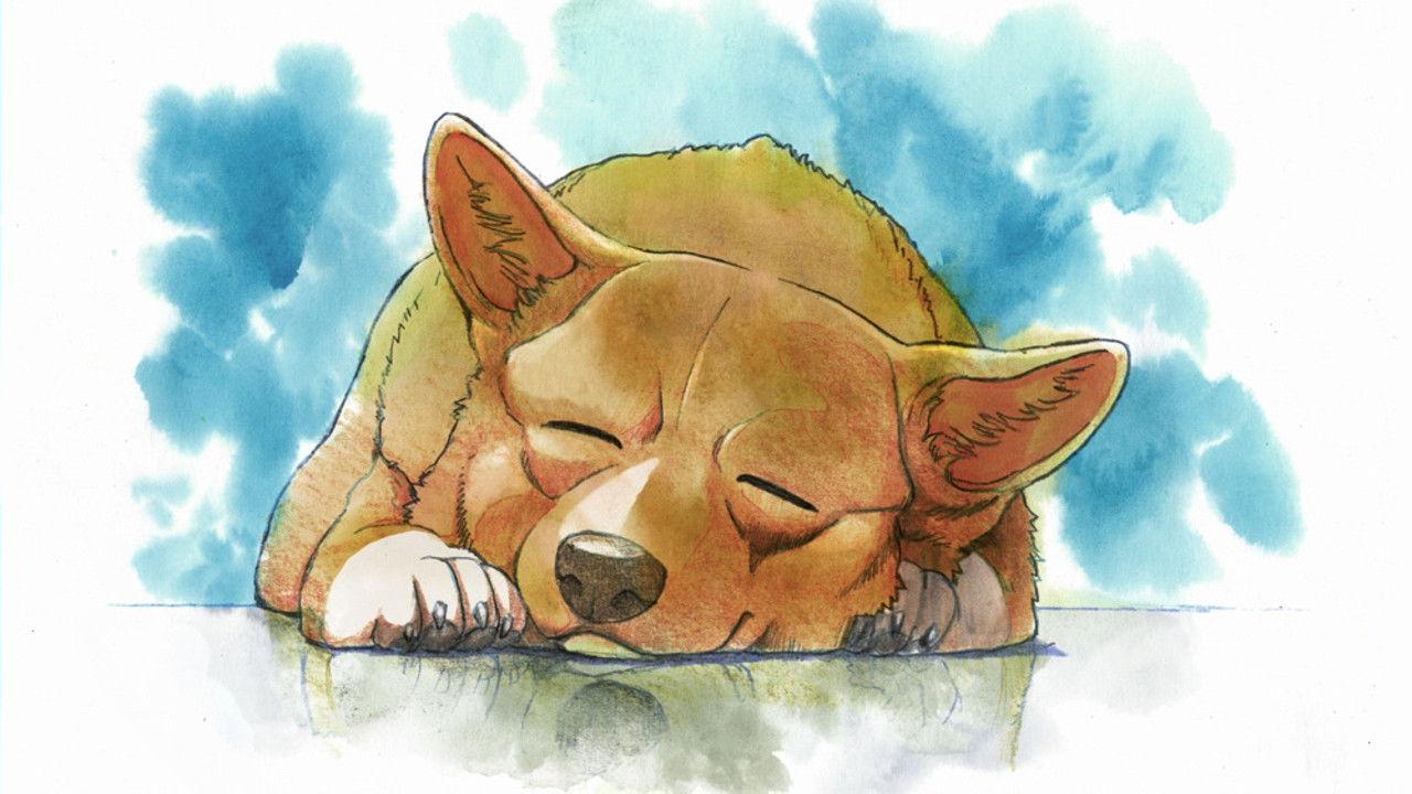 アインのなつやすみ