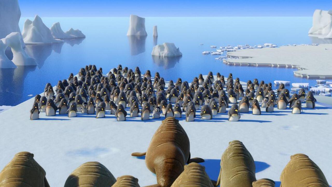 Kumple z dżungli - kierunek biegun