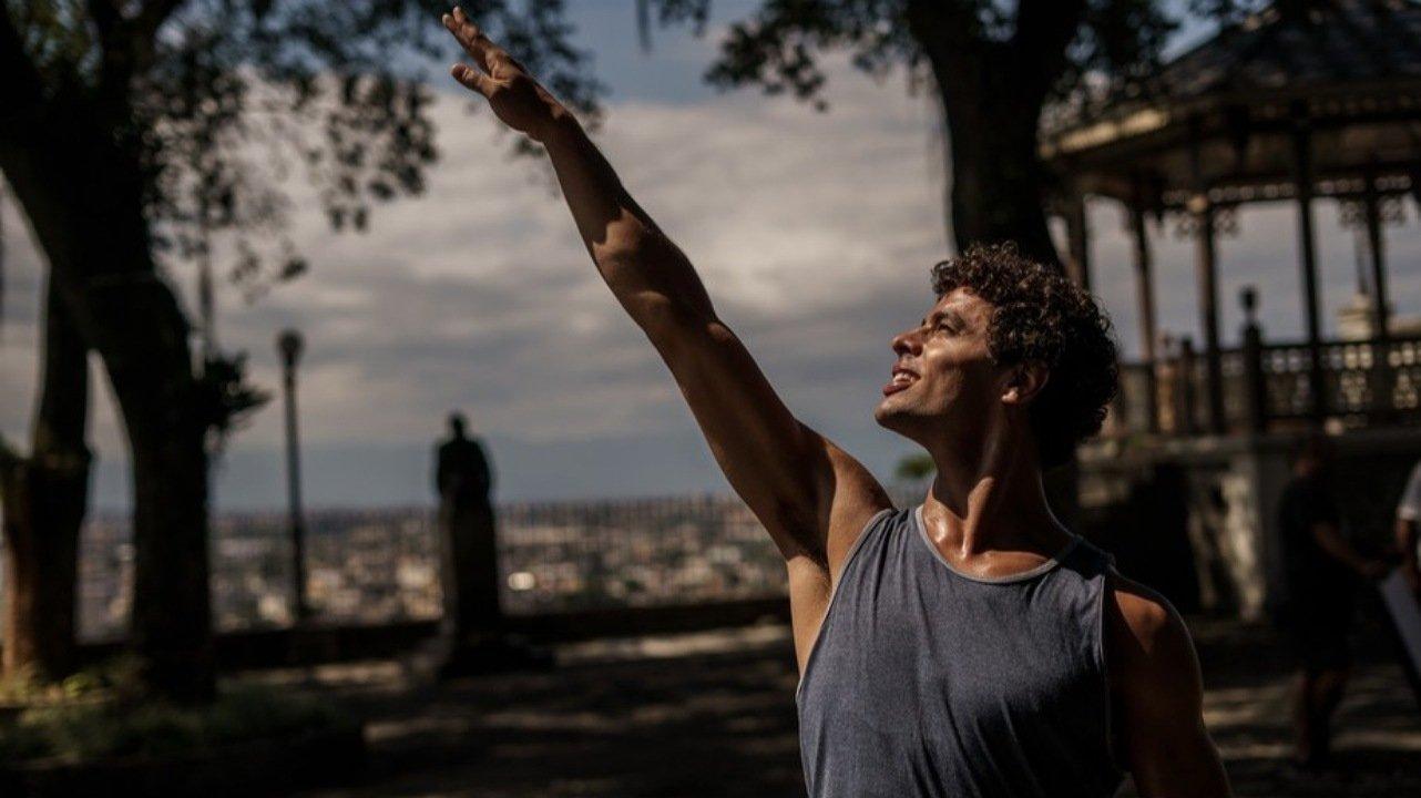 Um Lobo entre os Cisnes