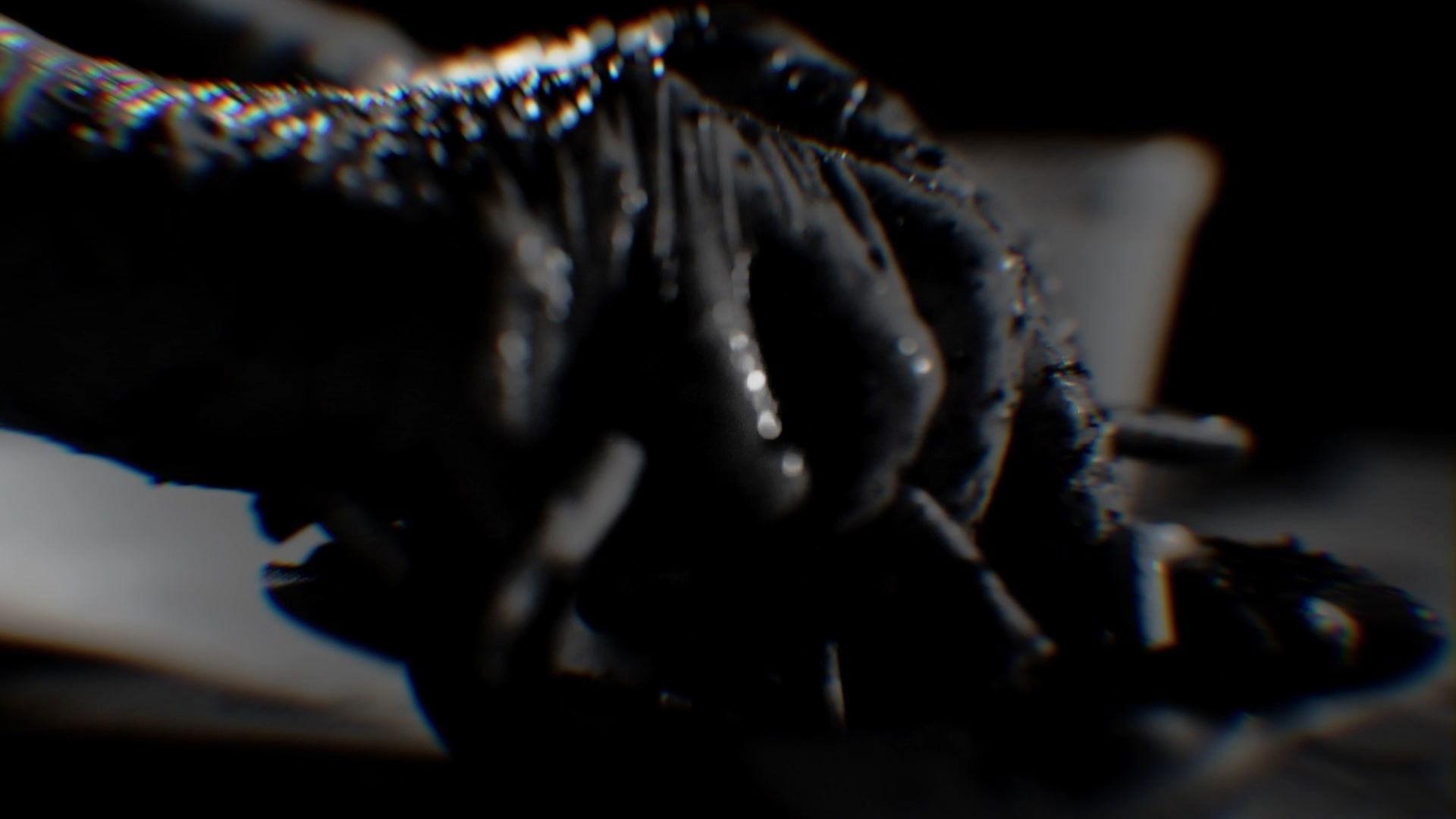 Homenagem a Joe Camel