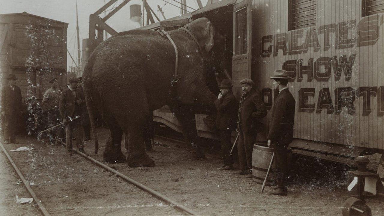 La Tragique Histoire de Fritz l'éléphant