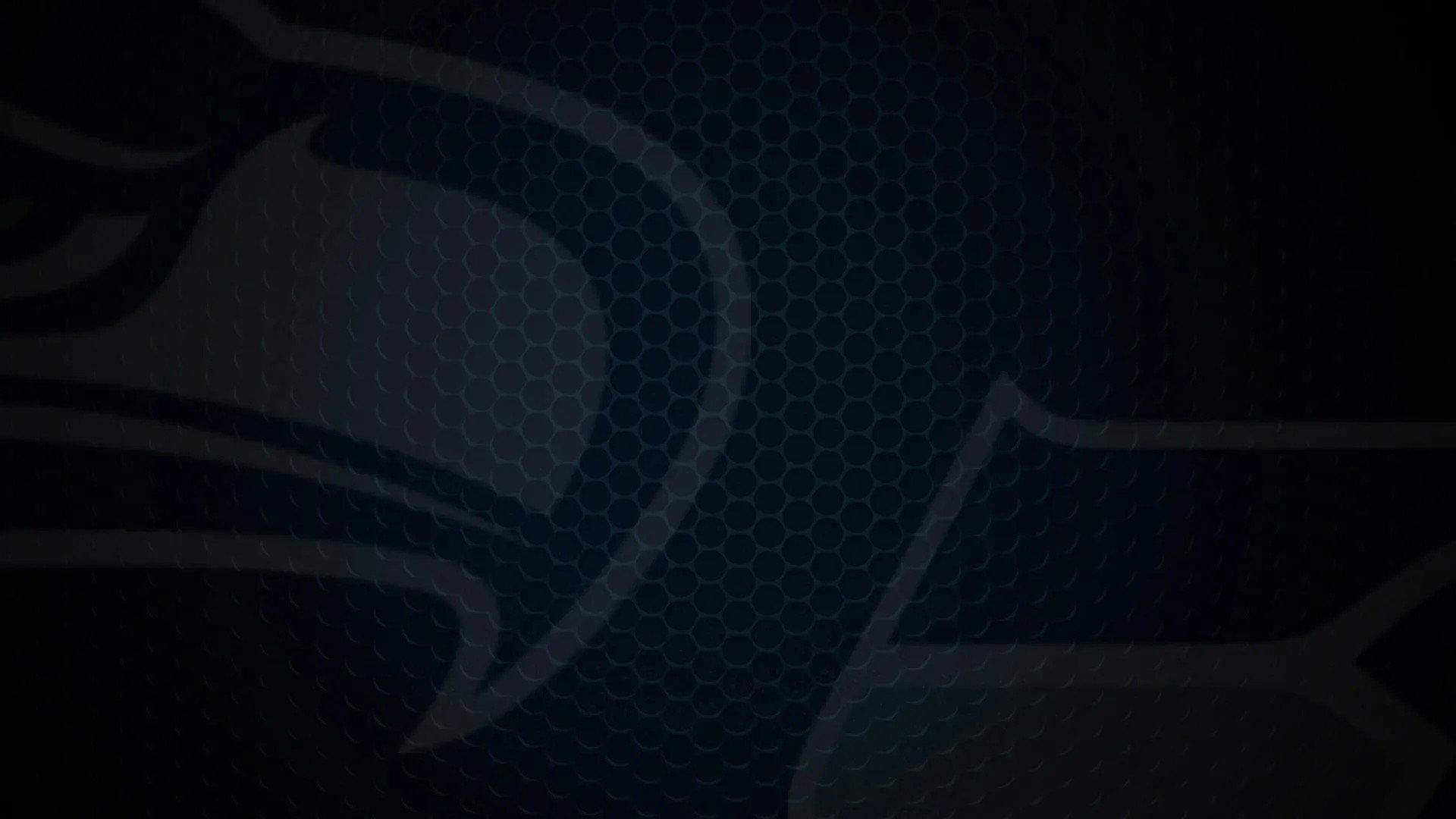 Super Bowl Champions: The 2025 Seattle Seahawks