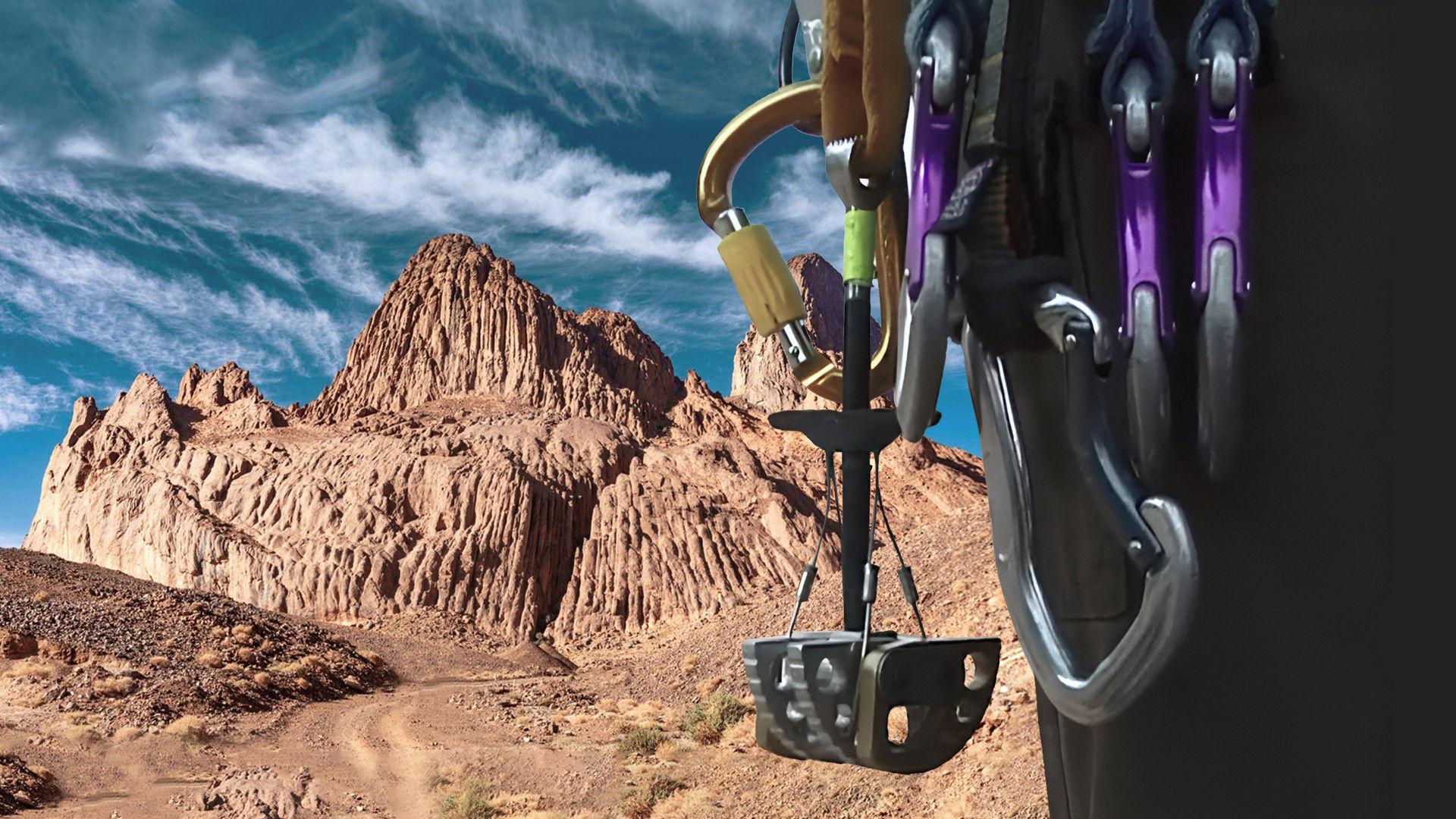 Les Trois Thés En Algérie