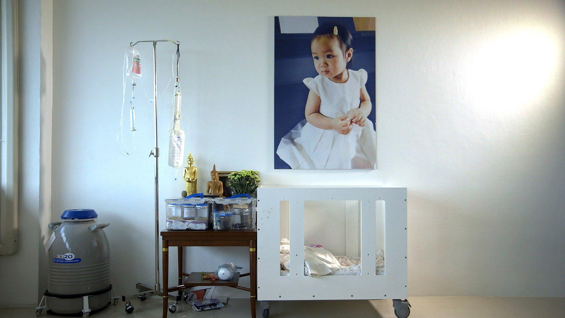 ความหวังแช่แข็ง: ขอเกิดอีกครั้ง