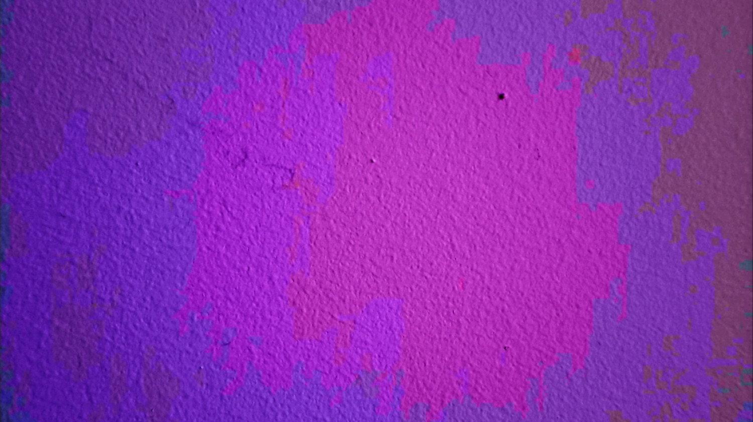 a tiny bug crawls across a wall