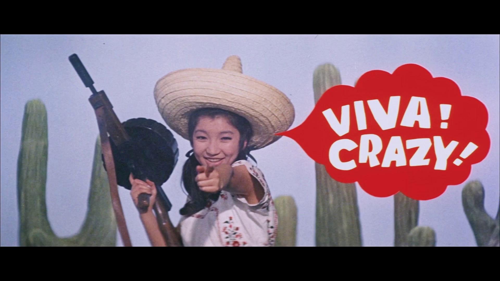 クレージーメキシコ大作戦