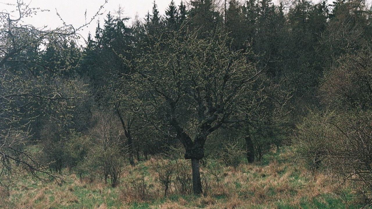 Takovéhle jaro snad ještě nebylo