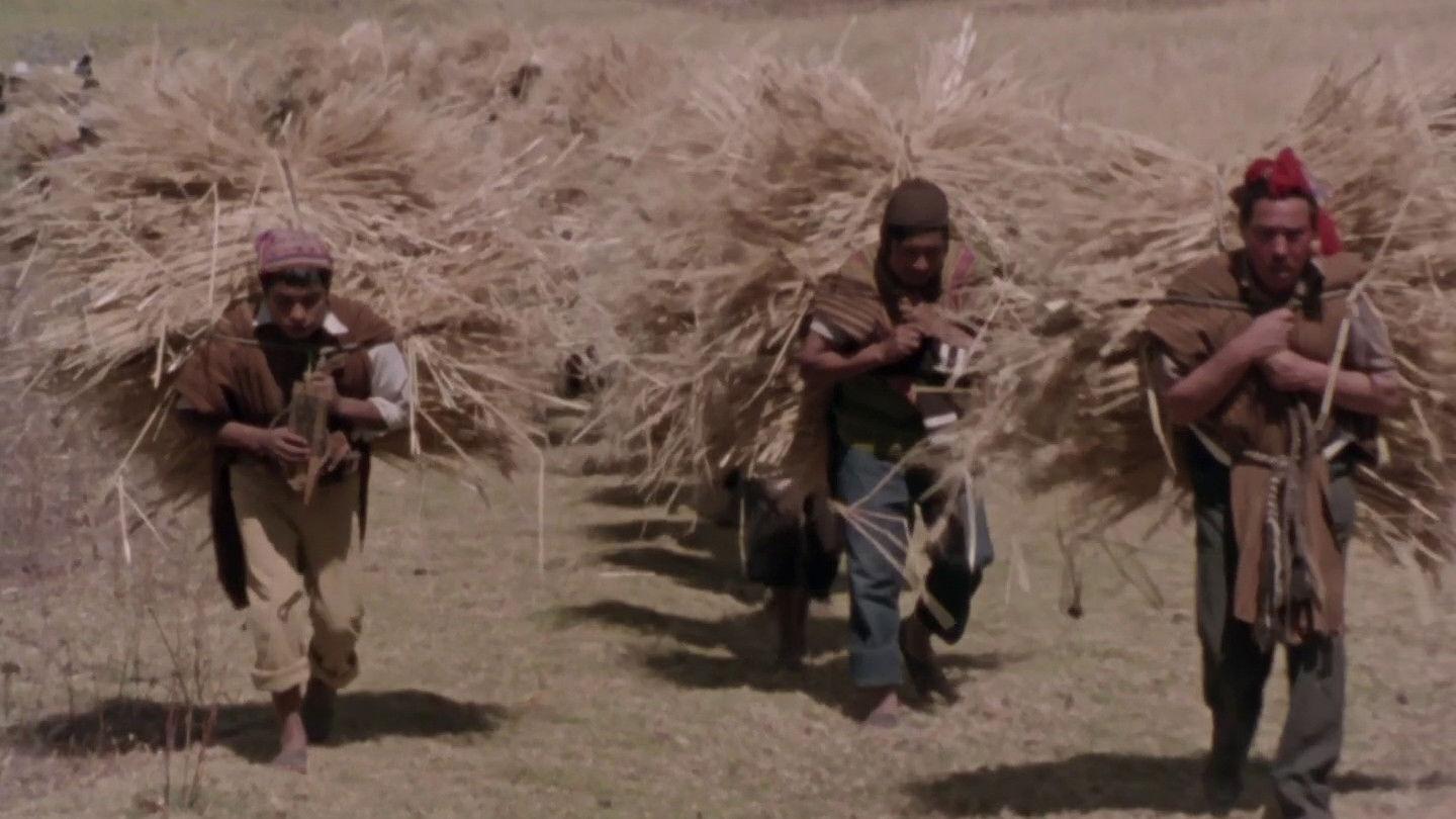 Mémoires d'une enfant des Andes
