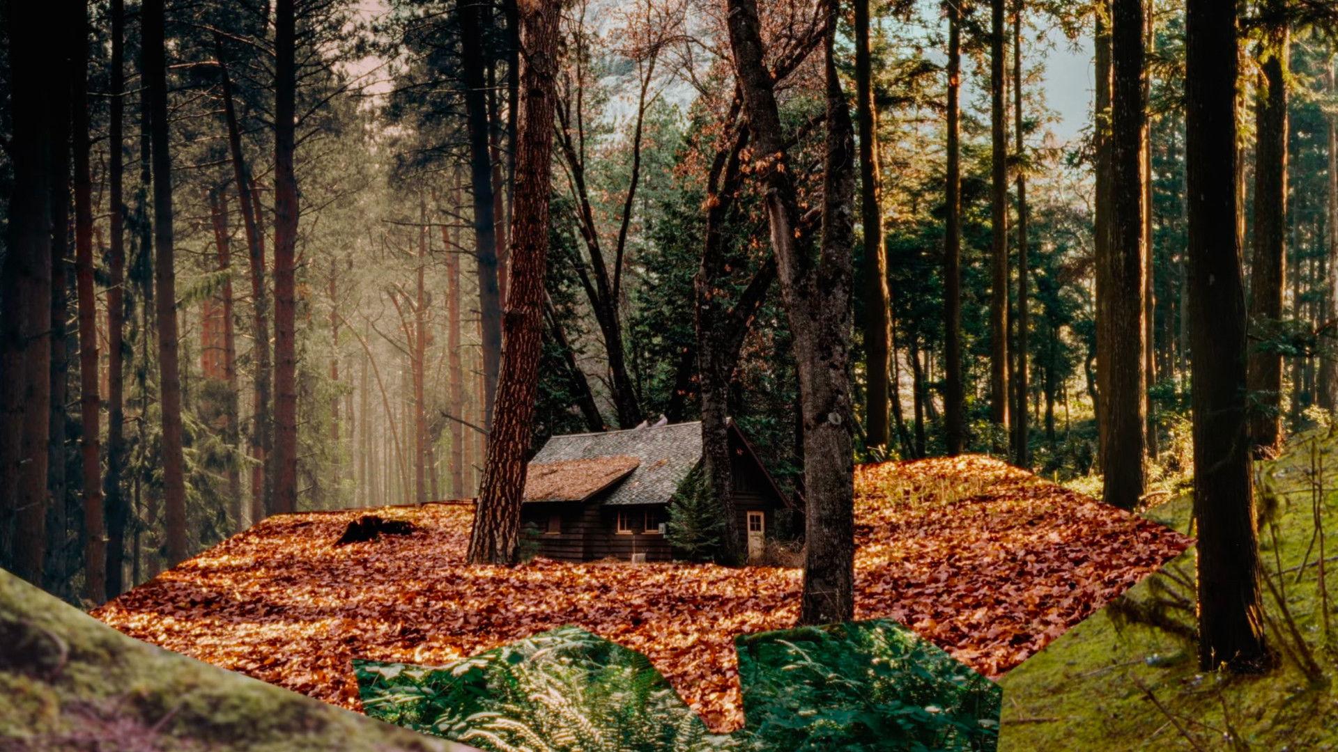 Zwischen Himmel und Haltestelle