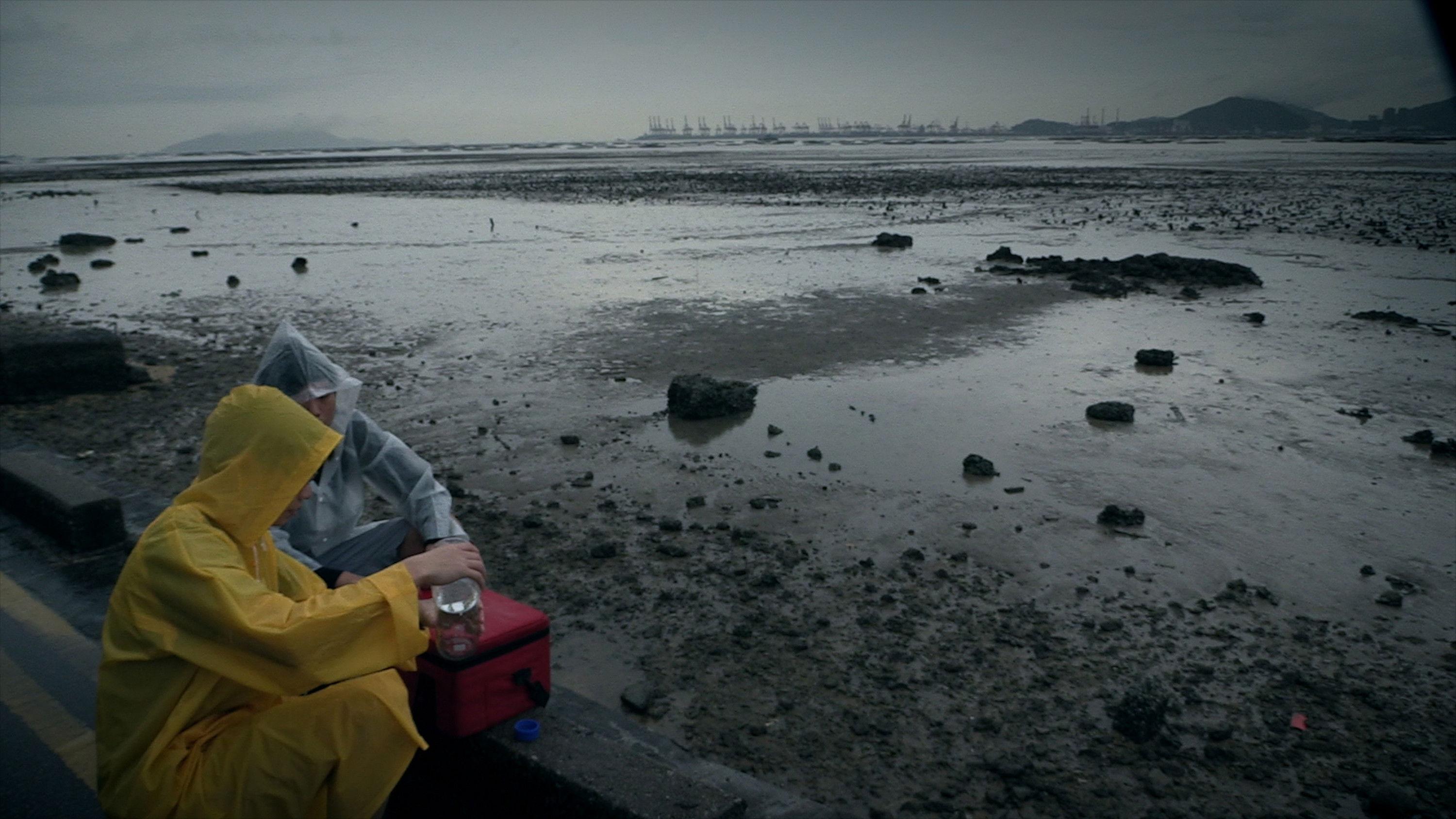 作為雨水:表象及意志