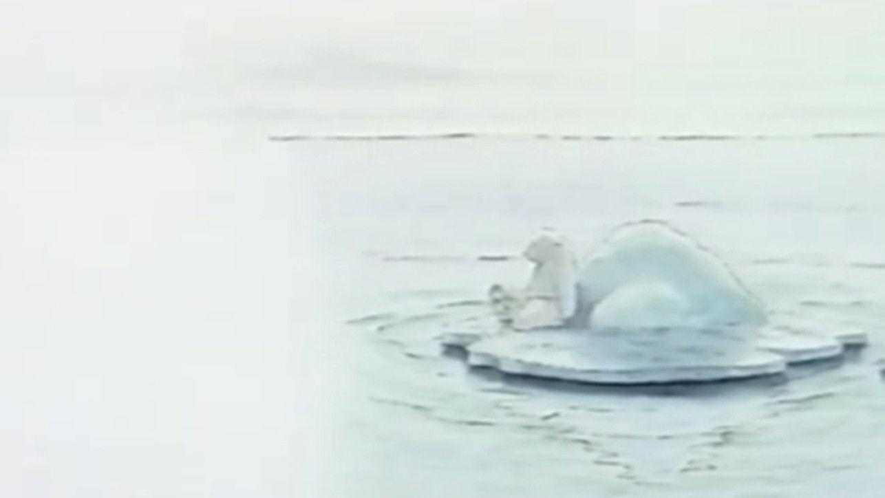 しろくまくん、どこへ？