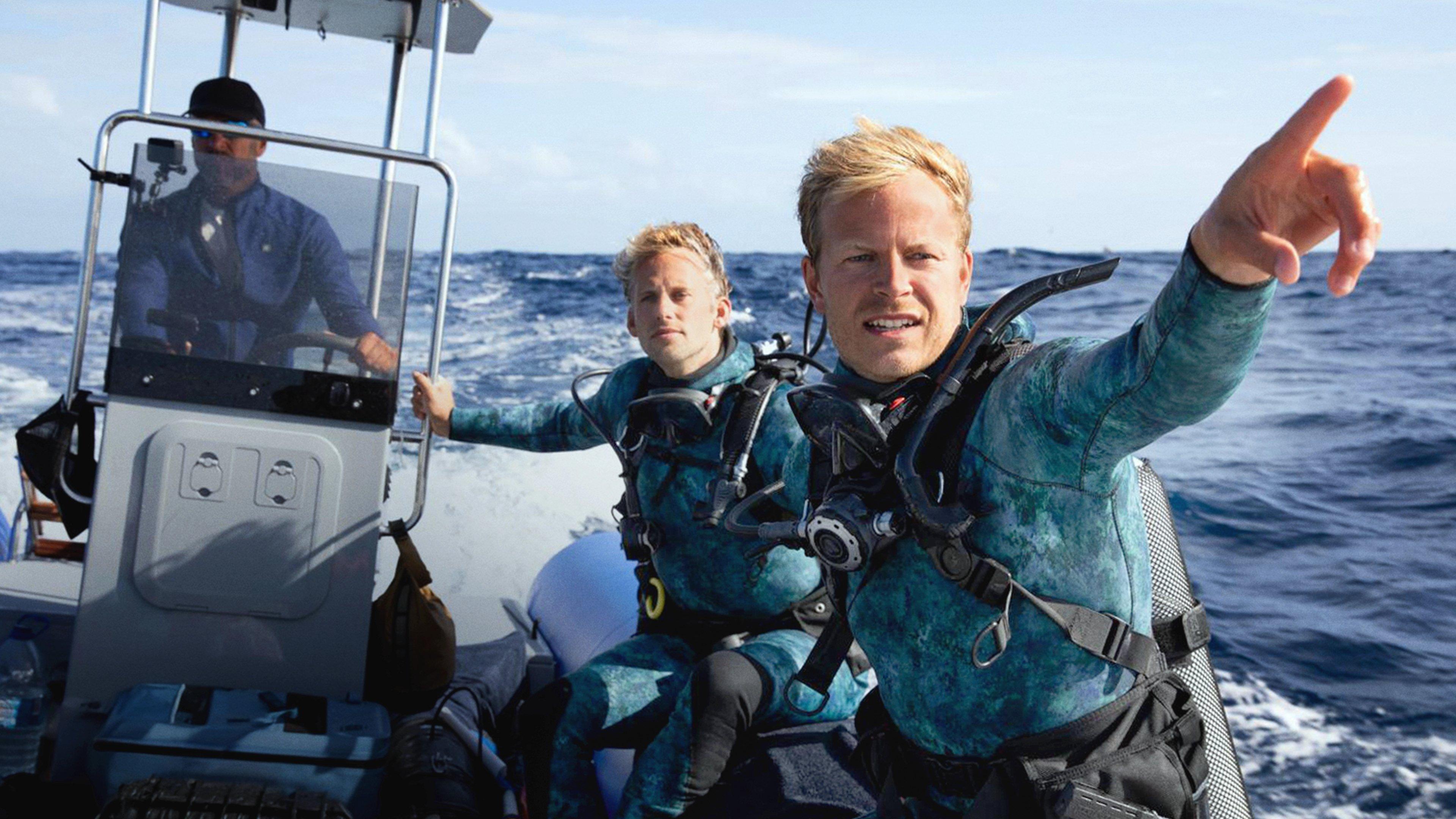 Bertie Gregory: bliskie spotkanie z delfinami