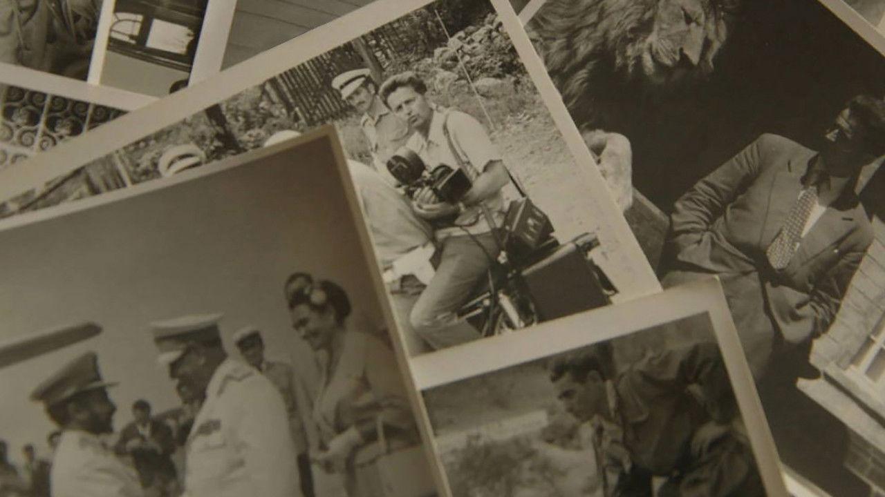 Досије Лабудовић