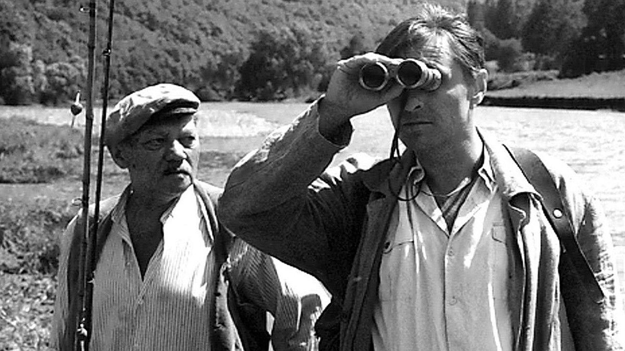 Śmierć pięknych saren