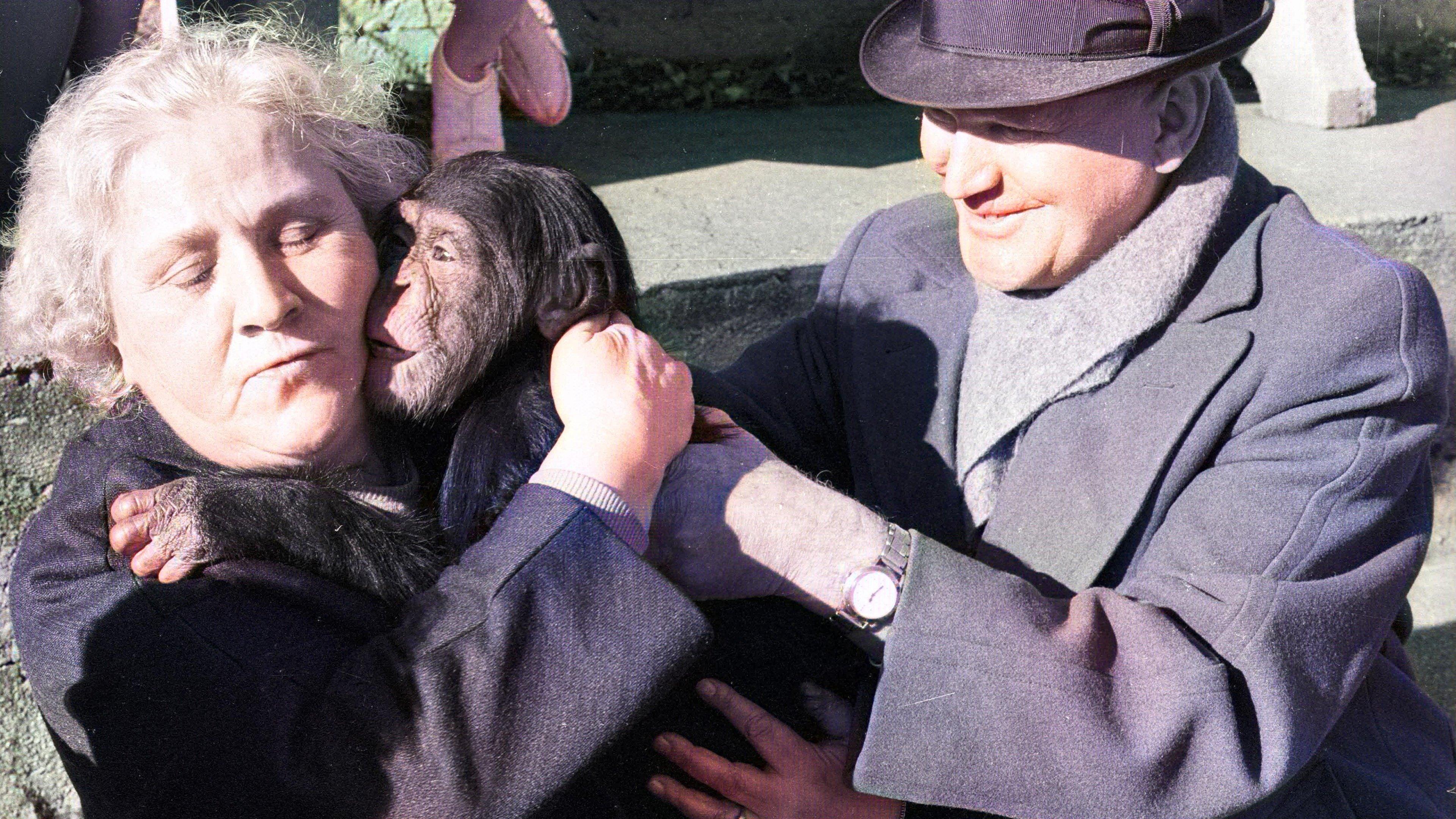 Land des Schweigens und der Dunkelheit