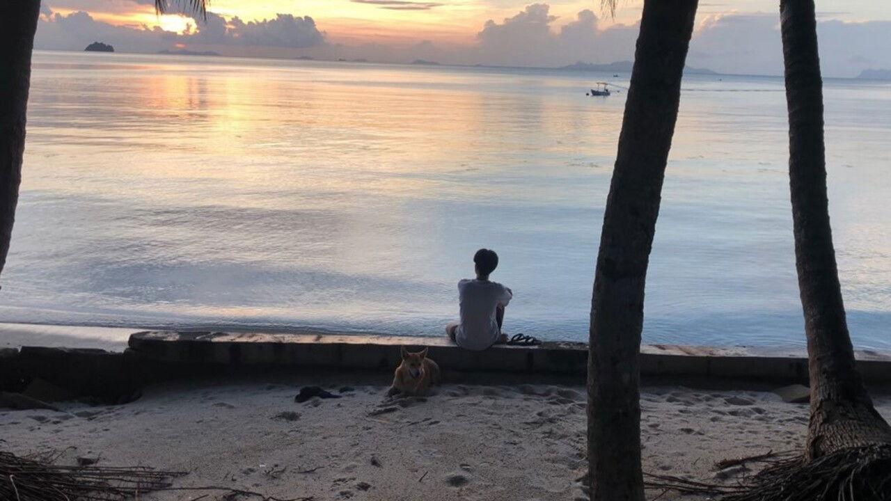 หนังหลังความตาย