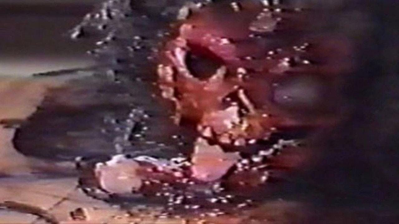 Jûshin densetsu - 獣神伝説