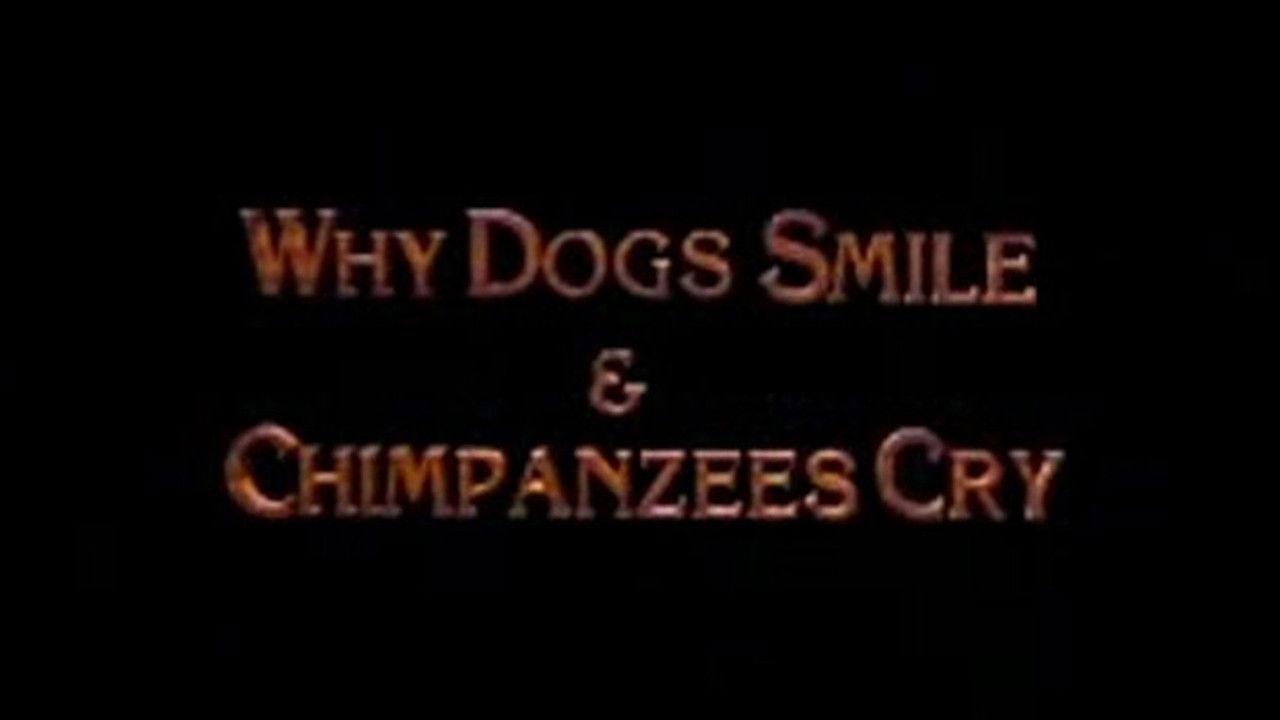 Why Dogs Smile and Chimpanzees Cry