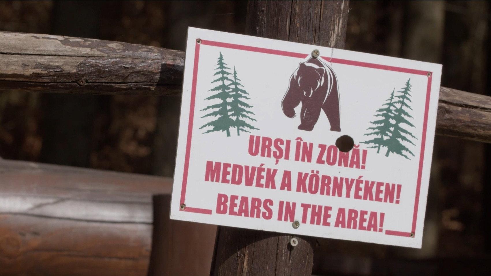 Szomszédok