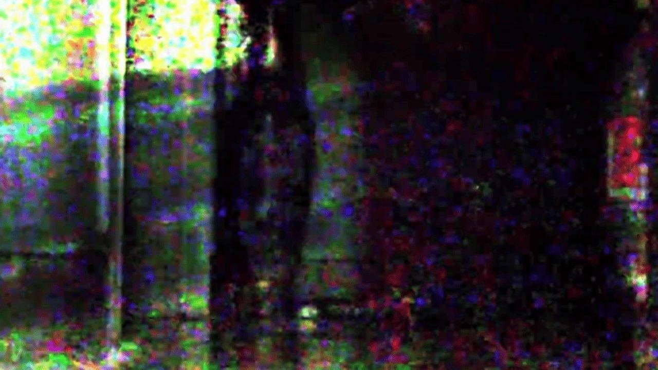 Drunk Bug or Feverish Slug