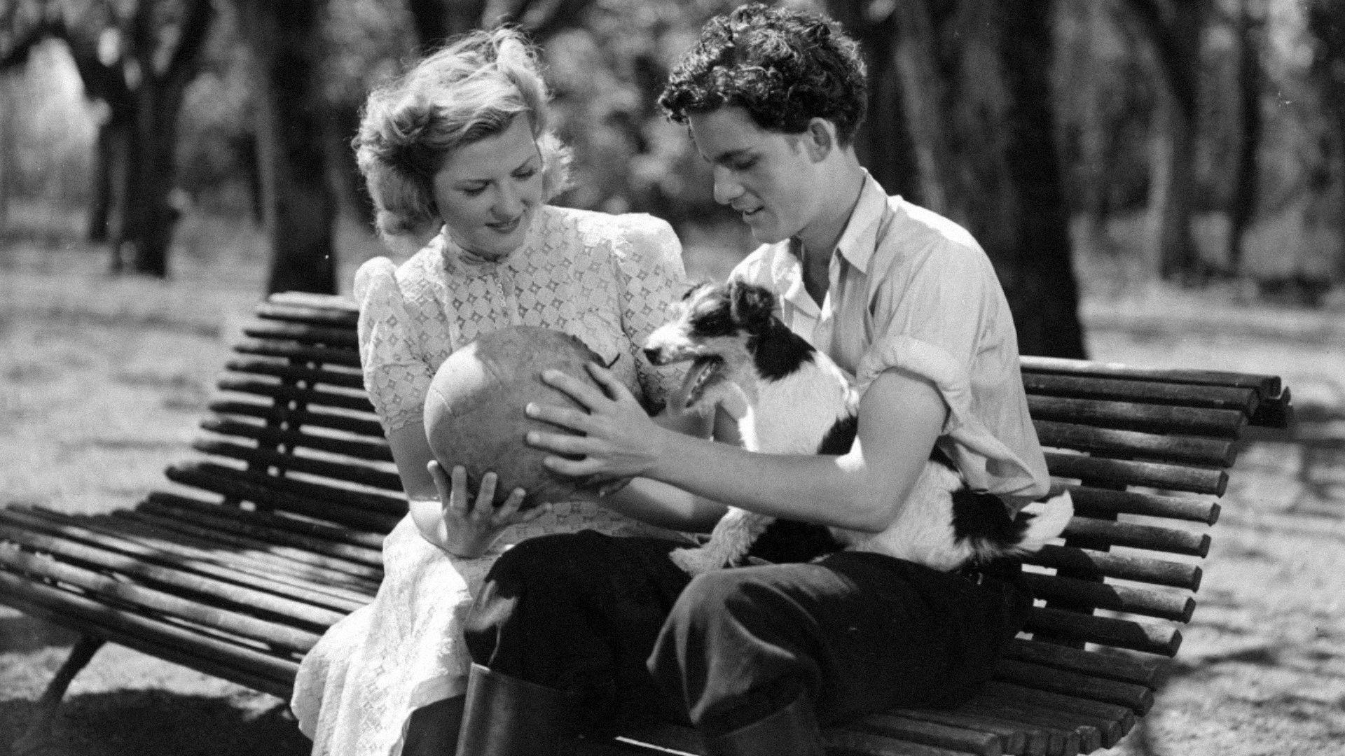 Hans Nåds testamente