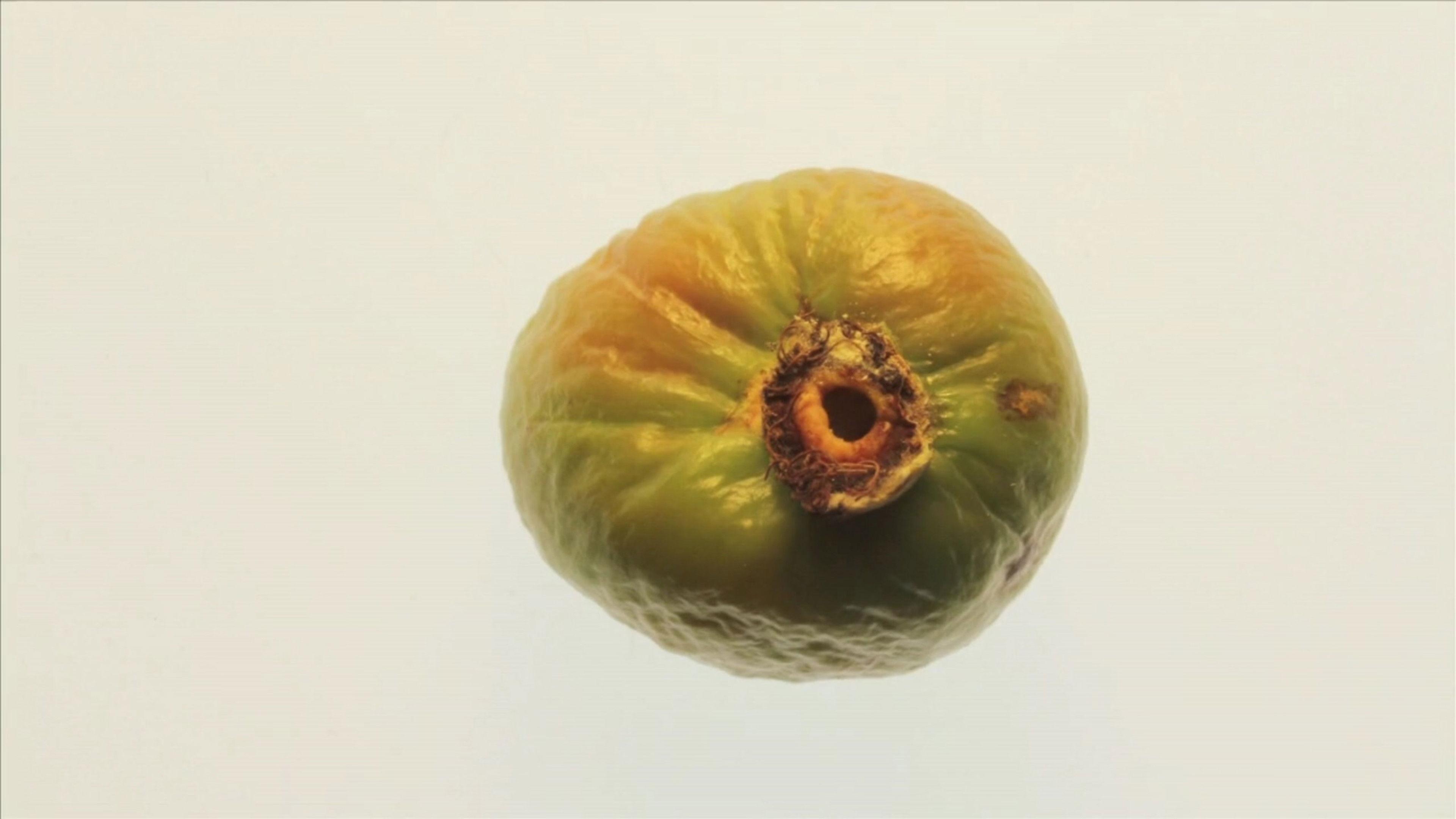 Äkkiä viime kesänä