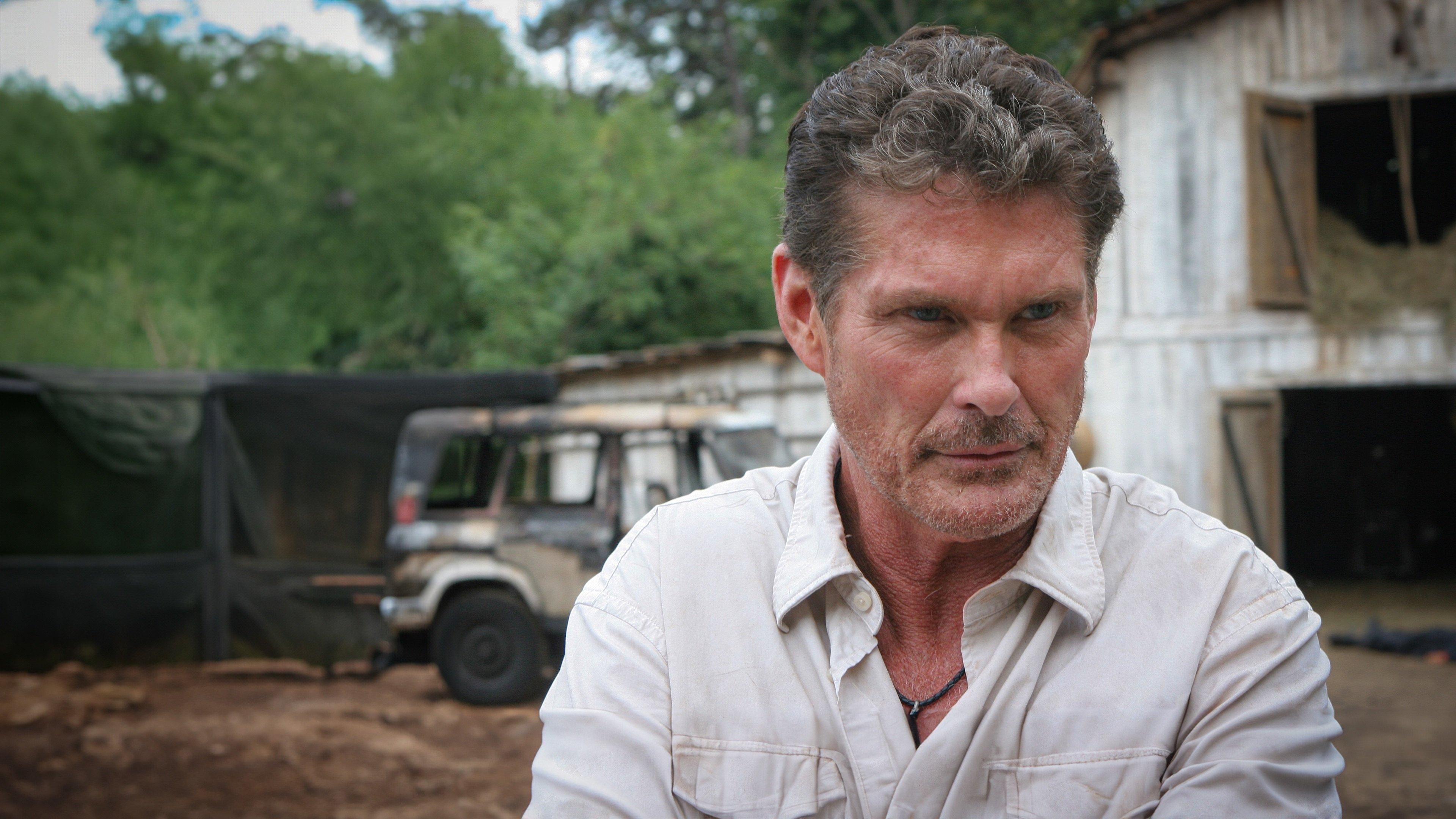 Anakonda 3 Potomstwo