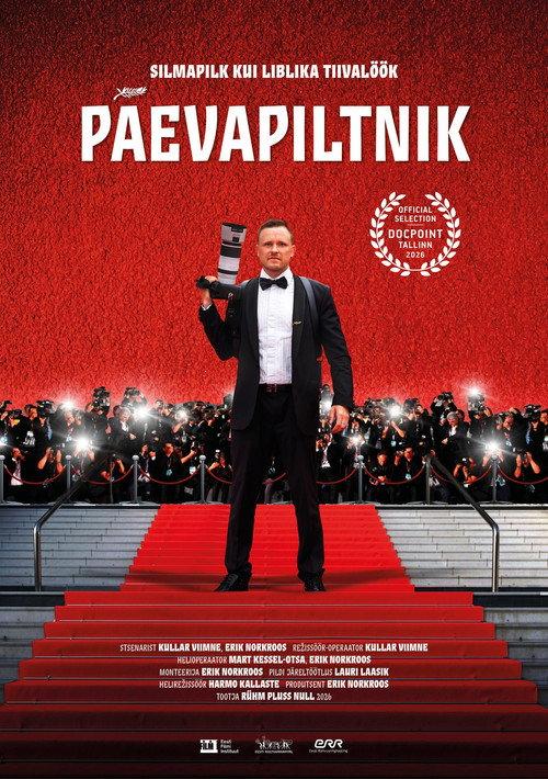 Päevapiltnik