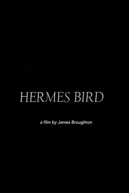 Hermes Bird