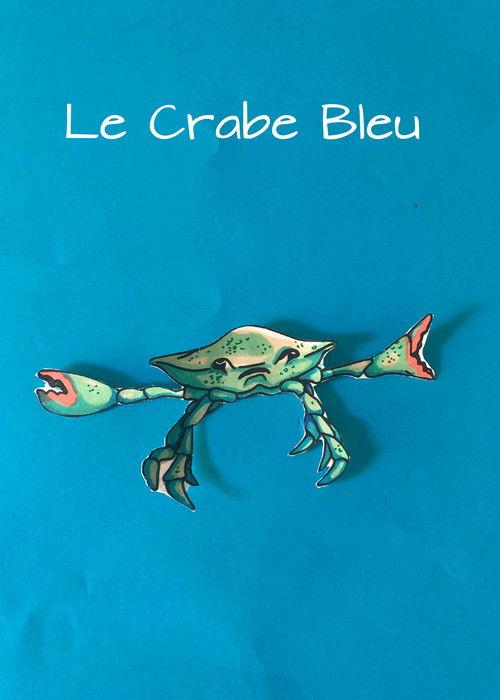 Le Crabe bleu