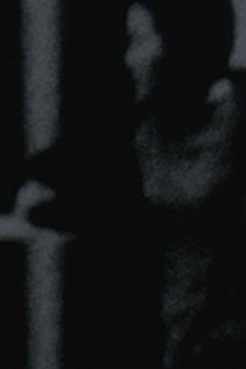 오후 풍경