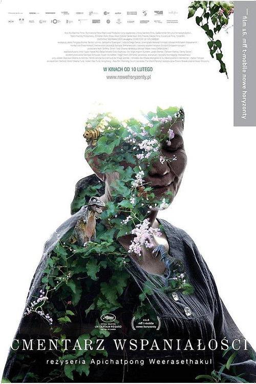 Cmentarz wspaniałości