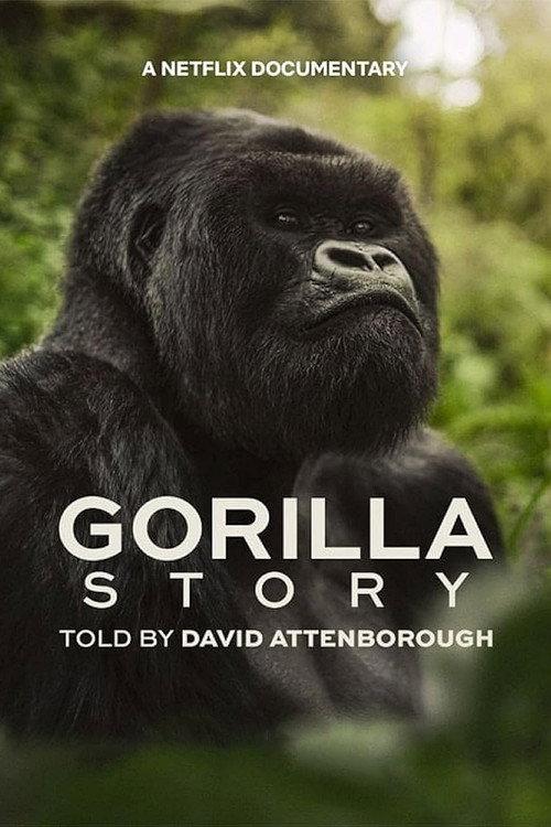David Attenborough: Opowieść o gorylach