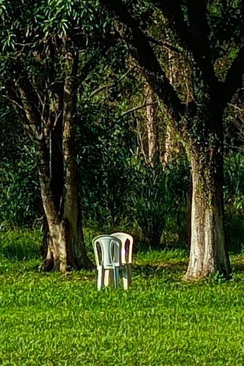 Cinema em Perspectiva