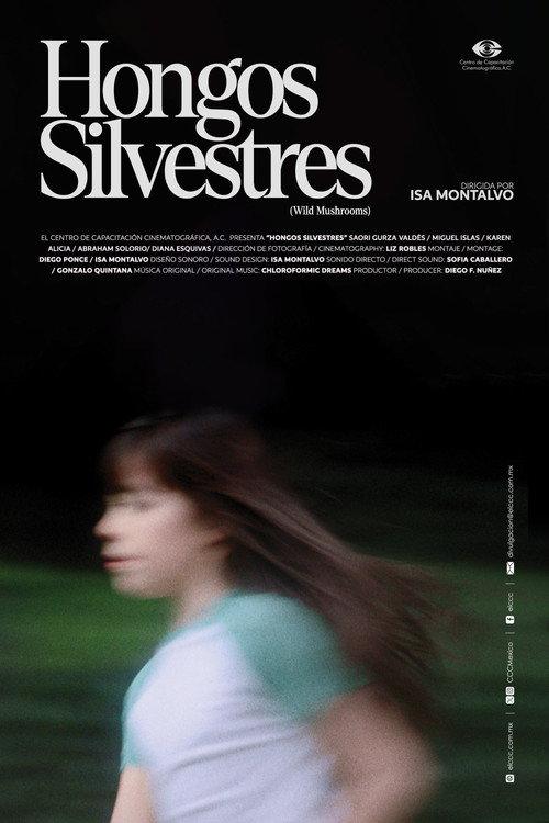 Hongos Silvestres