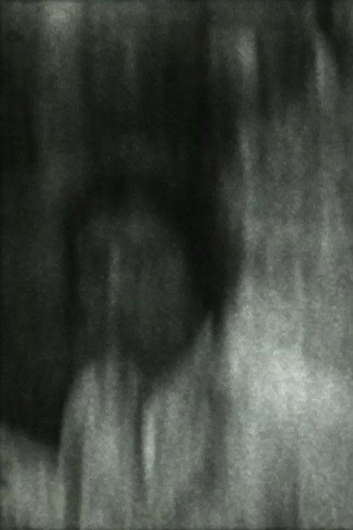 Carnívora