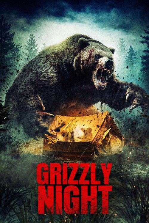 Noc Grizzly