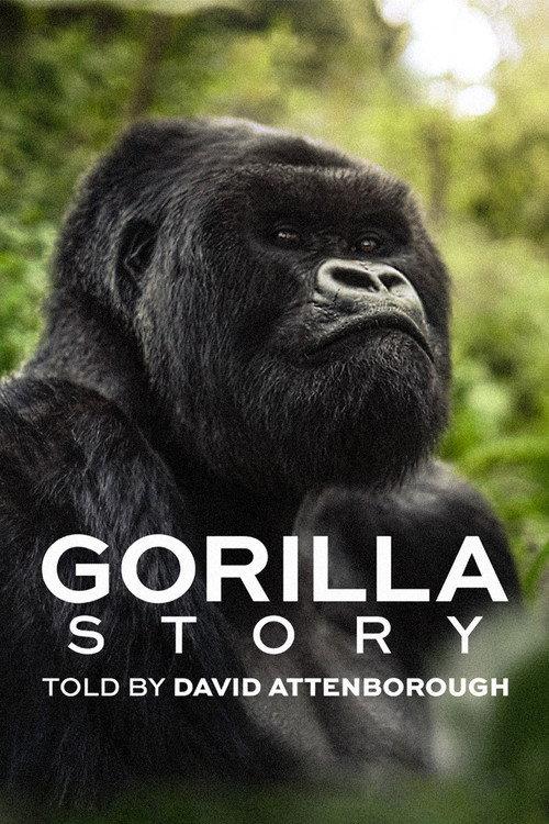 David Attenborough: Opowieść o gorylach