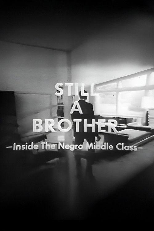 Still A Brother: Inside the Negro Middle Class