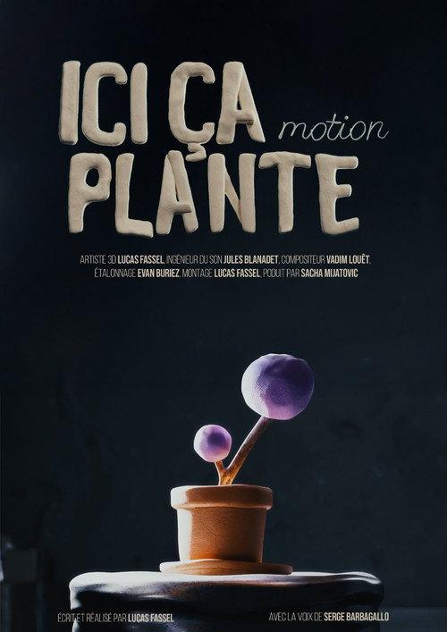 Ici ça plante