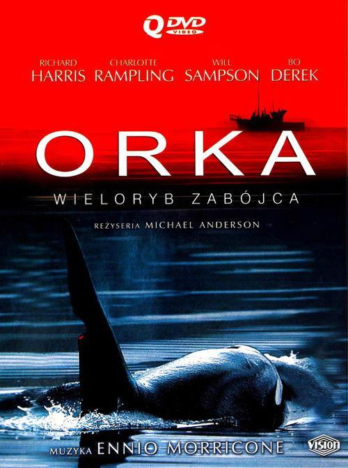 Orka. Wieloryb zabójca