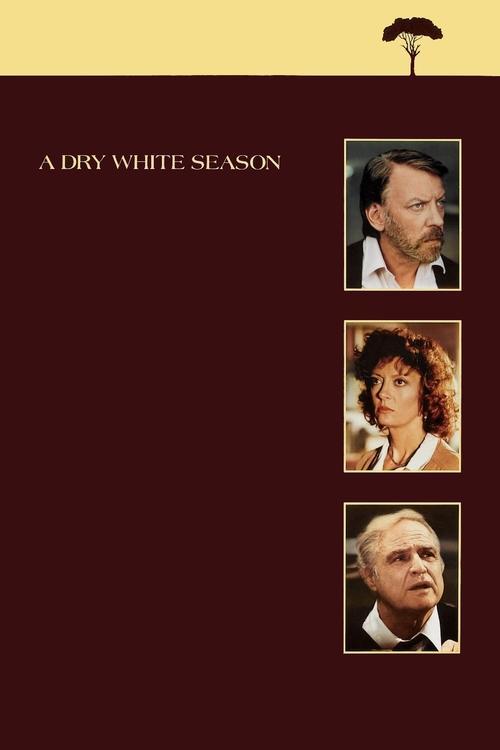 Sucha biała pora